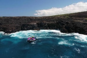 Havaiji: Yksityinen snorklauskierros lounaalla ja juomilla