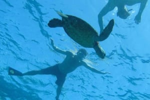 Hawaï: excursion de plongée avec tuba à Pu'uhonua O Honaunau et à la baie de Kealakekua