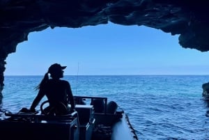 Hawaii: tour di snorkeling nella baia di Pu'uhonua O Honaunau e Kealakekua