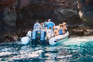 Hawaï: excursion de plongée avec tuba à Pu'uhonua O Honaunau et à la baie de Kealakekua