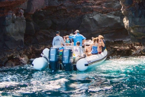 Hawaii: Pu'uhonua O Honaunau & Kealakekua Bay Snorkel Tour