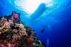 Hawaii: Small Group 2-Tank Lanai Cathedrals Dive