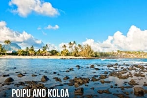 Hawaii Tour Bundle Collection: Oahu, Maui, Big Island, Kauai.