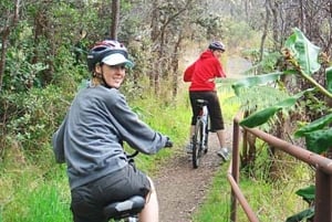 Hawaii: Volcanoes National Park E-Bike Rental and GPS Audio