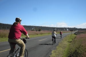 Hawaii: Volcanoes National Park E-Bike Rental and GPS Audio