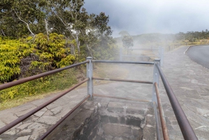 Hawaii Volcanoes National Park: Private Discovery Tour