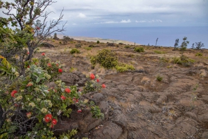 Hawaii Volcanoes National Park: Private Discovery Tour