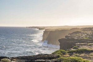 Hawaii Volcanoes National Park: Private Discovery Tour
