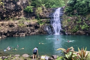Hawaii: Waterfall Hike, Kayaking, and Paddleboard Adventure
