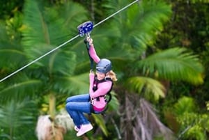 Hawaii: Big Island Hilo Zipline Tour