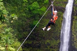 ハワイ：ビッグアイランド ヒロ ジップライン ツアー