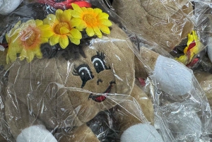 Hawaiiaanse fietstocht