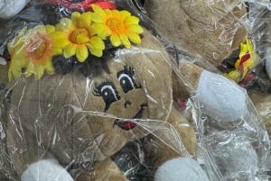 Hawaiiaanse fietstocht