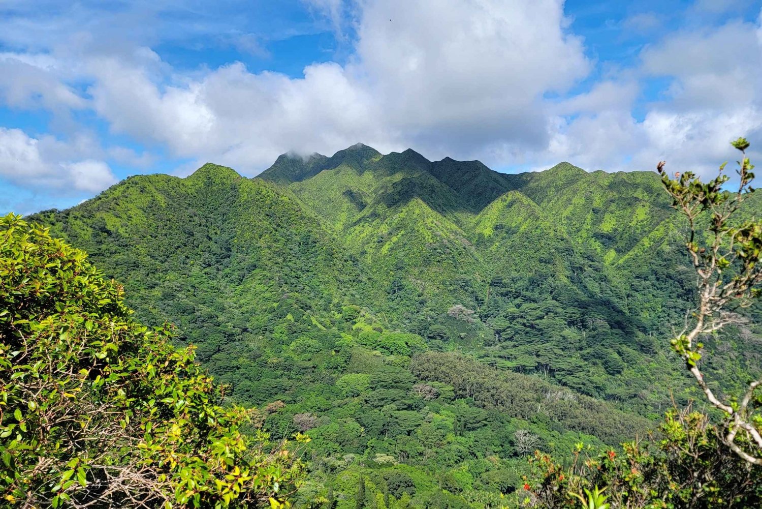 Honolulu: Hawaiian Volcanic Rainforest Hike