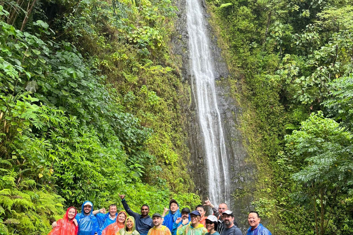 Randonnée dans les cascades hawaïennes
