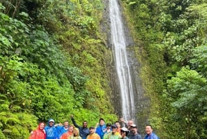 Hawaiian Waterfall Hike