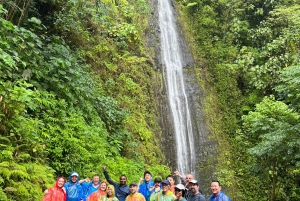 Randonnée dans les cascades hawaïennes