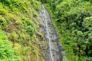 Randonnée dans les cascades hawaïennes