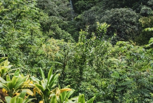 Randonnée dans les cascades hawaïennes