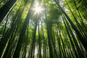 Randonnée dans les cascades hawaïennes