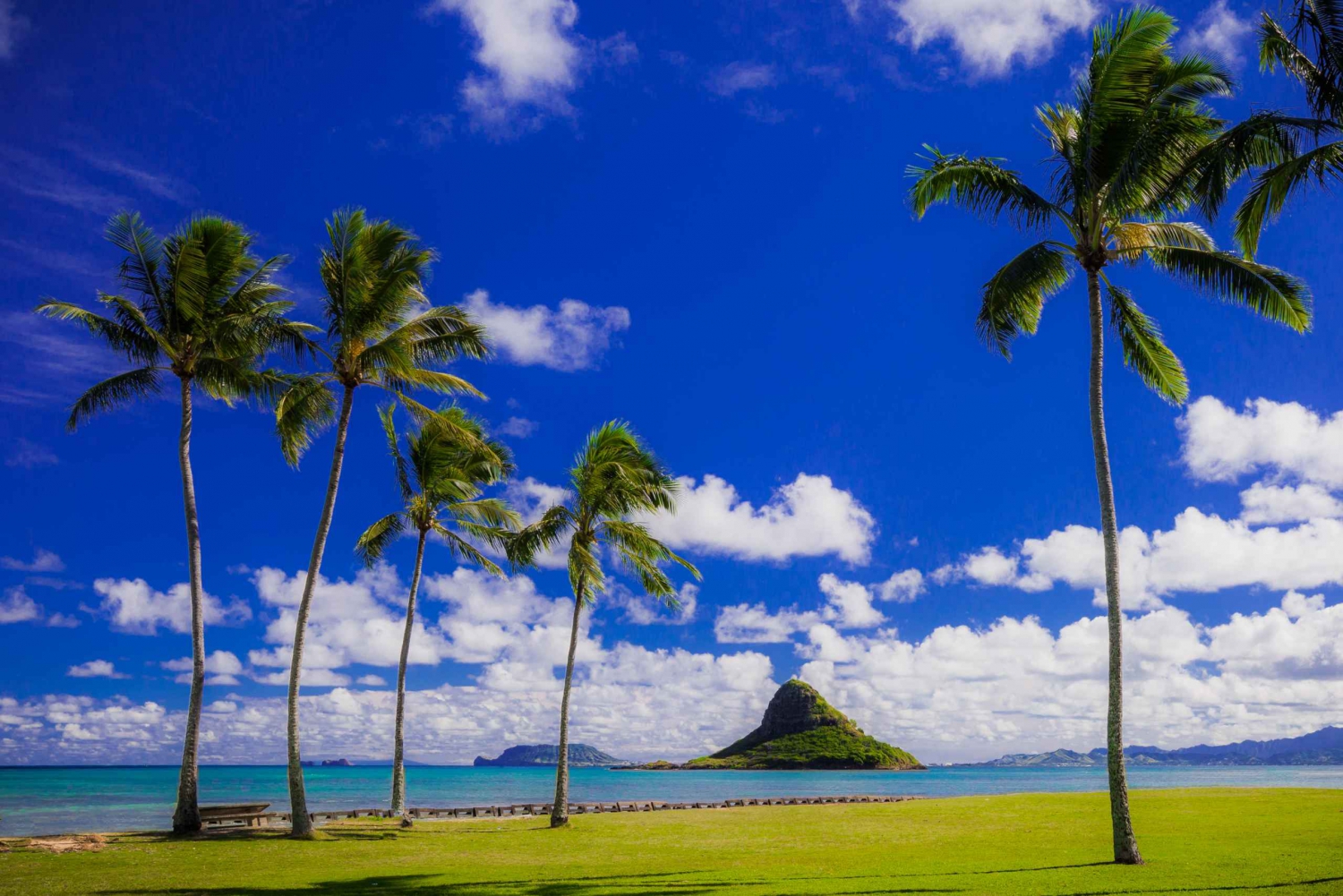 Oahus skjulte perler - ø-rundtur med Byodo-In-templet