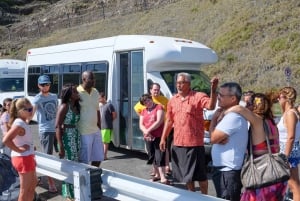 Joias escondidas de Oahu Circle Island Tour com Byodo-In Temple