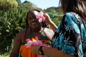 Fra Honolulu: Rundtur med Oahus bortgjemte perler inkludert Byodo-In-tempelet