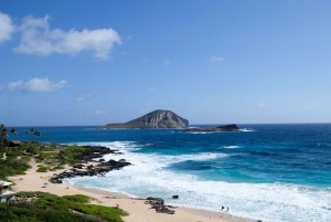 Hidden Gems of Oahu Circle Island Tour Byodo-In temppelin kanssa