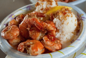 Hidden Gems of Oahu Circle Island Tour Byodo-In temppelin kanssa