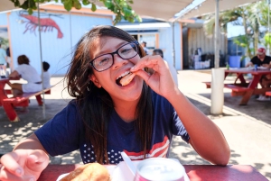 Hidden Gems of Oahu Circle Island Tour Byodo-In temppelin kanssa
