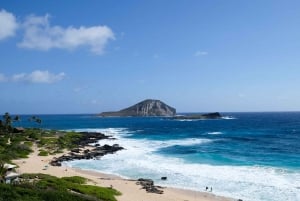 Hidden Gems of Oahu Tour with North Shore Turtle Snorkeling