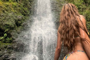 Hidden Hawaii Waterfall Hike & Beach Tour (pickup + photos!)
