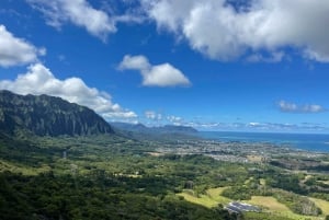 Verborgen Hawaii-watervalwandeling en strandtour (ophalen + foto's!)