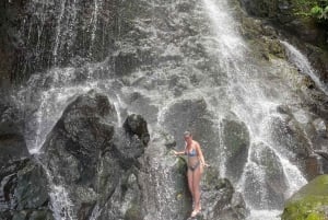 Hidden Hawaii Waterfall Hike & Beach Tour (pickup + photos!)