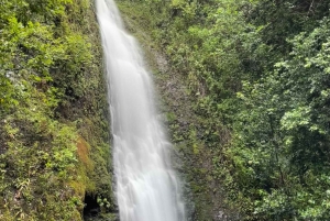 Hidden Hawaii Waterfall Hike & Beach Tour (Abholung + Fotos!)