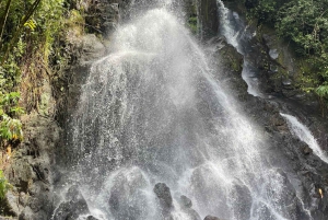 Hidden Hawaii Waterfall Hike & Beach Tour (henting + bilder!)