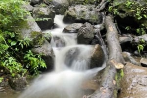 Hidden Hawaii Waterfall Hike & Beach Tour (nouto + kuvat!)