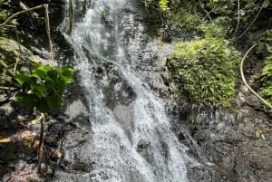 Hidden Hawaii Waterfall Hike & Beach Tour (henting + bilder!)