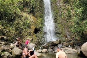 Elfs spesialtilpassede private omvisninger ... O'ahu, Hawai'i