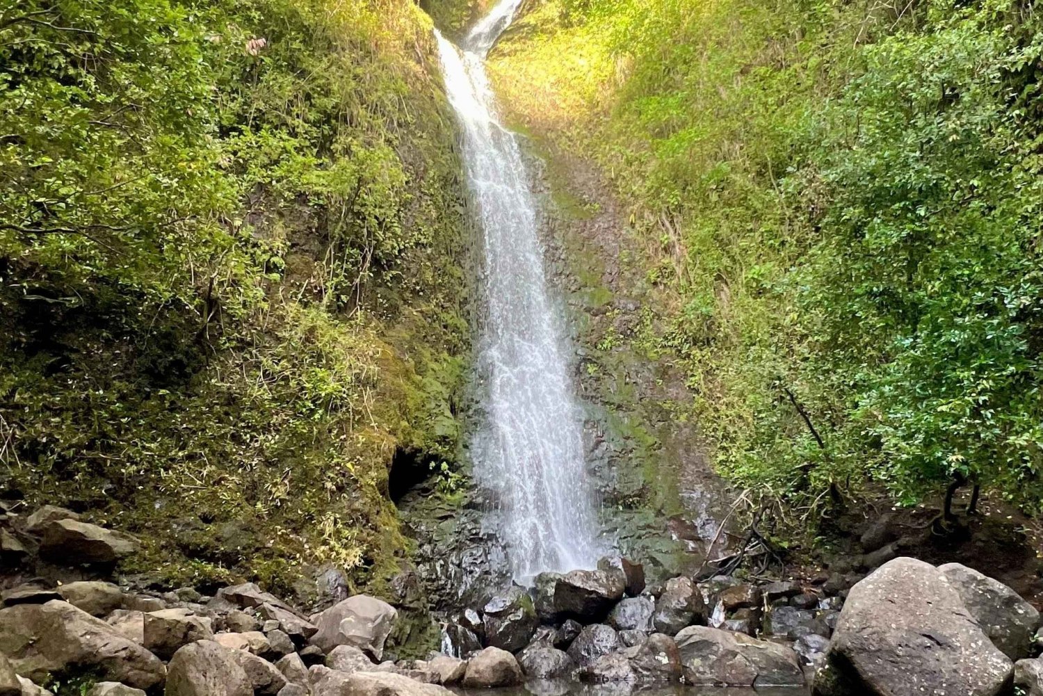 Randonnée - Trempette dans la cascade, sentiers de la forêt tropicale (prise en charge)