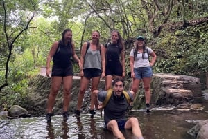 Hike - Dip in the Waterfall, Rainforest Trails (Pick up)