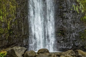Vandringsled till vattenfall & naturvandring