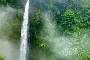 Hilo : visite guidée des chutes Akaka, des volcans et de la baie d'Onomea