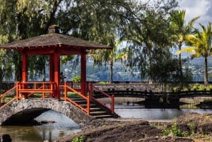 Hilo : visite guidée des chutes Akaka, des volcans et de la baie d'Onomea