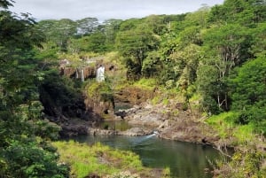 Hilo : visite guidée des chutes Akaka, des volcans et de la baie d'Onomea