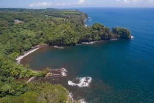Hilo : visite guidée des chutes Akaka, des volcans et de la baie d'Onomea