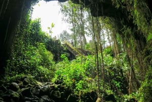Hilo : visite guidée des chutes Akaka, des volcans et de la baie d'Onomea