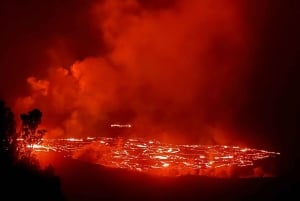 Hilo : visite guidée des chutes Akaka, des volcans et de la baie d'Onomea
