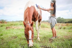 Big Island: Babyziegen füttern und knuddeln