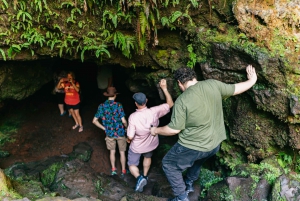 Hilo: Elite Volcano Hike